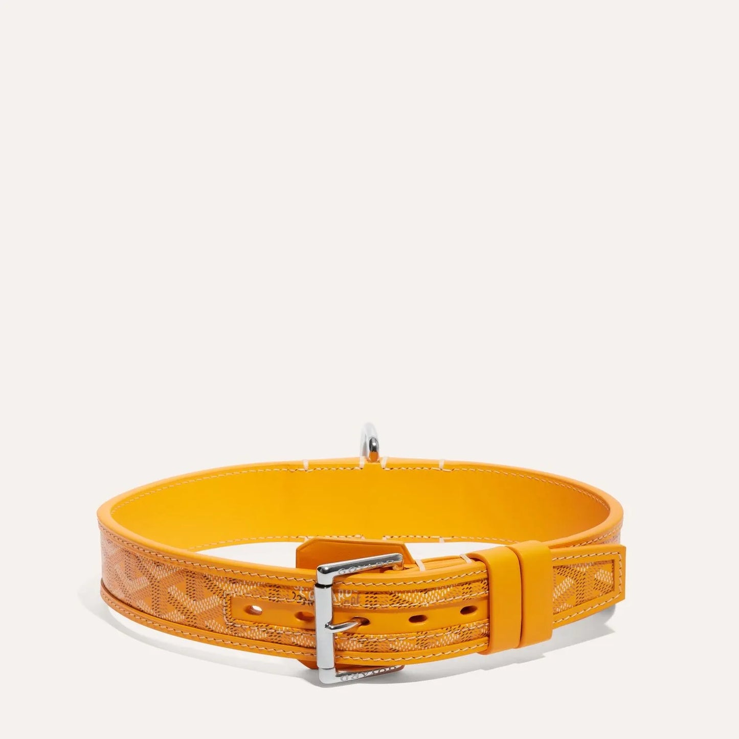 Franklin Collar With Box