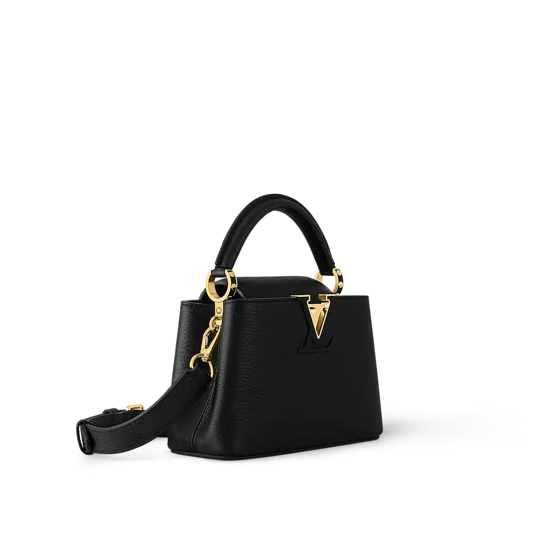 LV Capucines Mini With Box