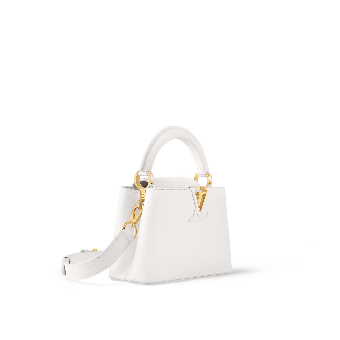 LV Capucines Mini With Box